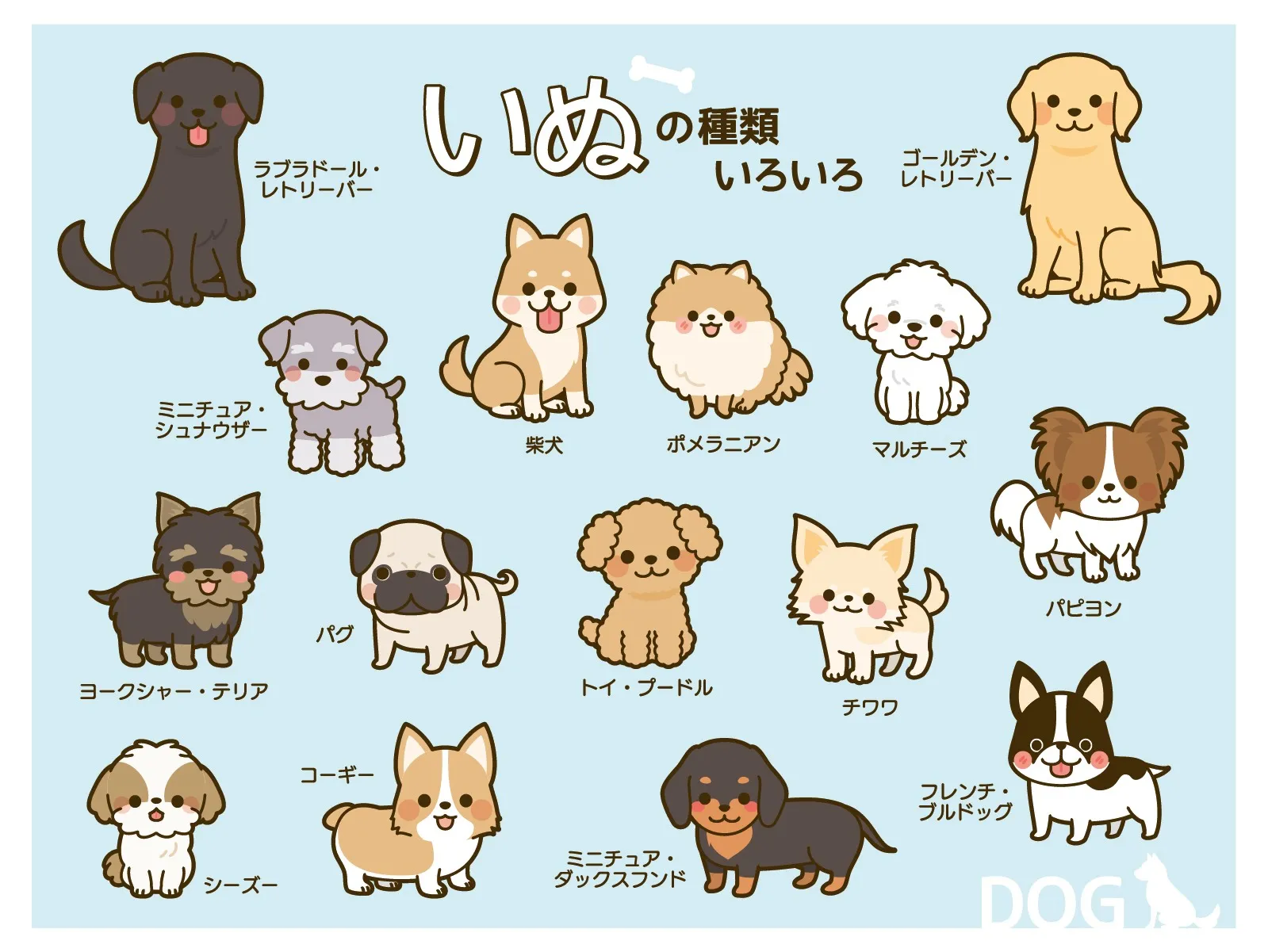 北九州市内のペット不可マンションの「管理規約」が売却に与える影響とは